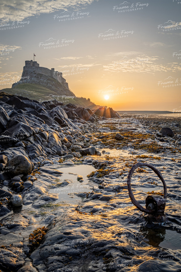 To buy a print or any of the below please click on the images